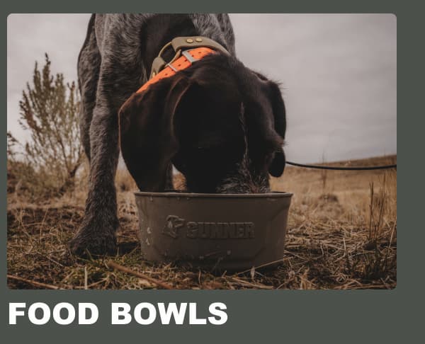 Food Bowls