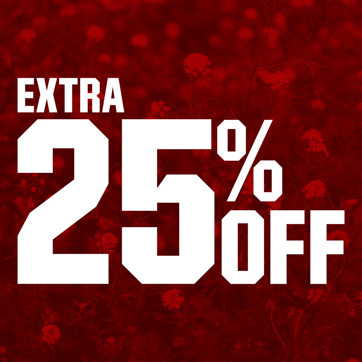 Extra 25% Off 