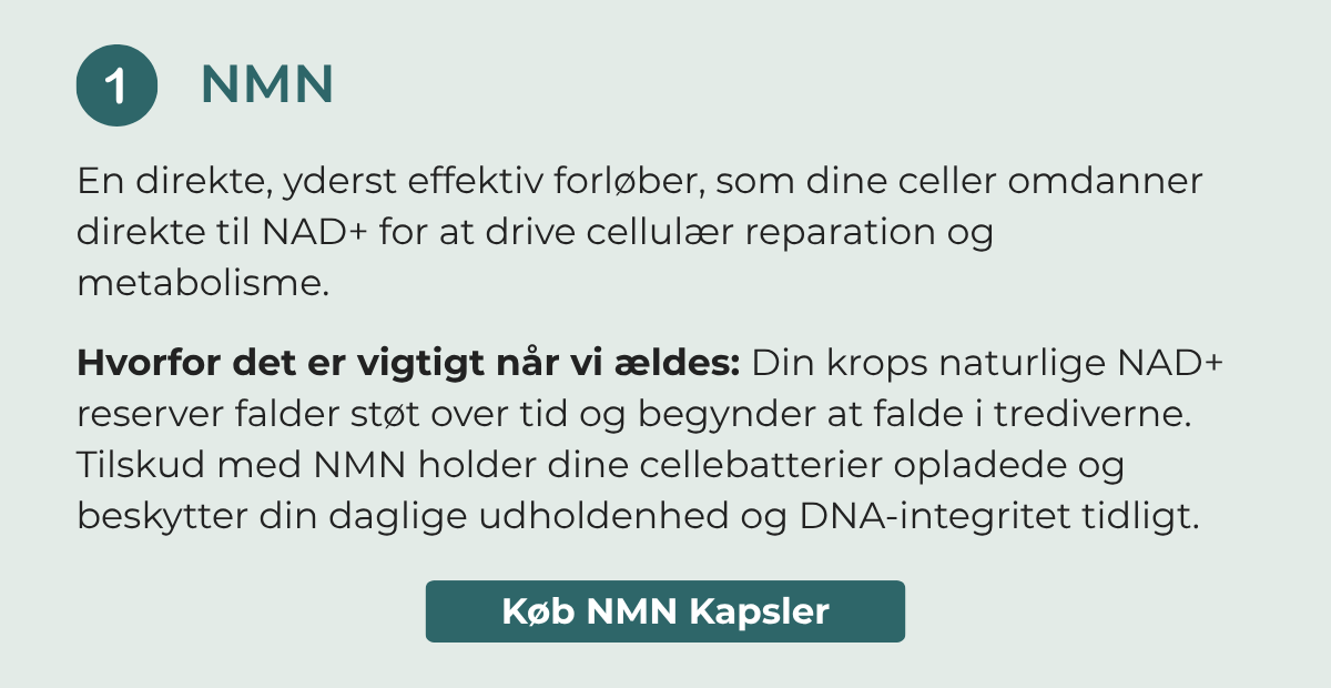 NMN