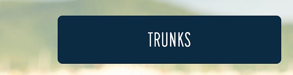 More to Love | [TRUNKS]