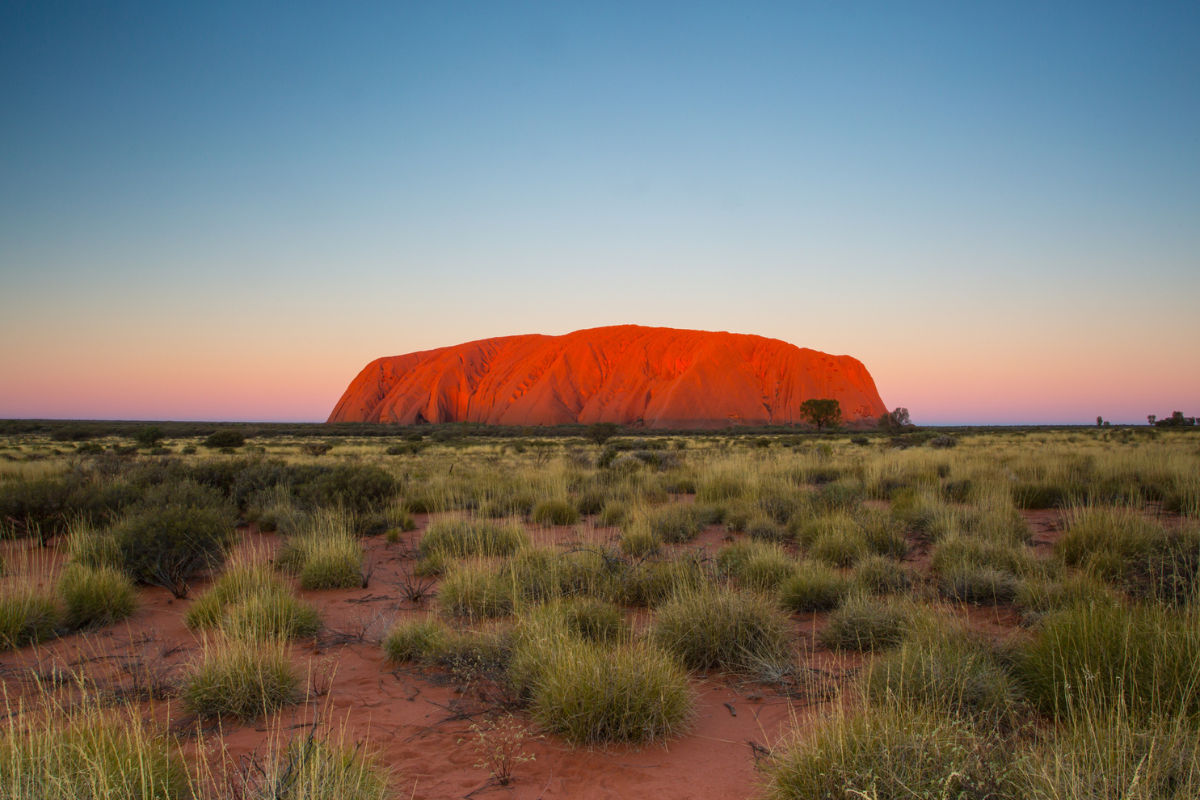 New Scientist Discovery Tours. Image links to tours