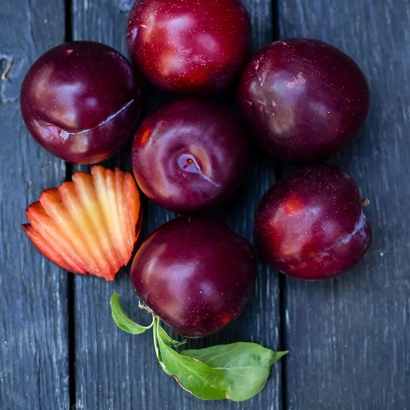 Image of Organic Santa Rosa Plums