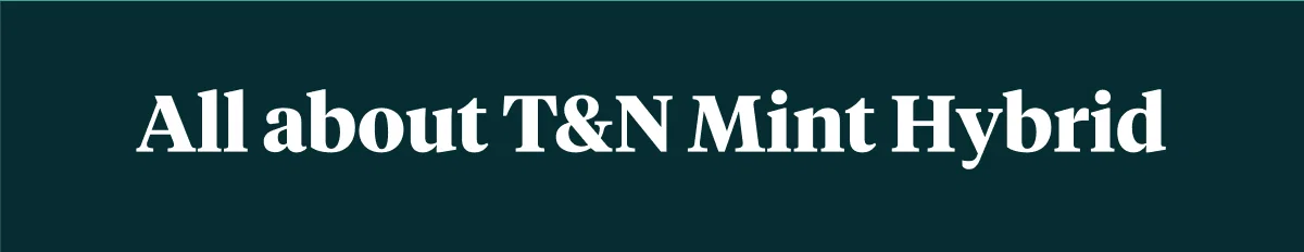 All about T&N Mint Hybrid