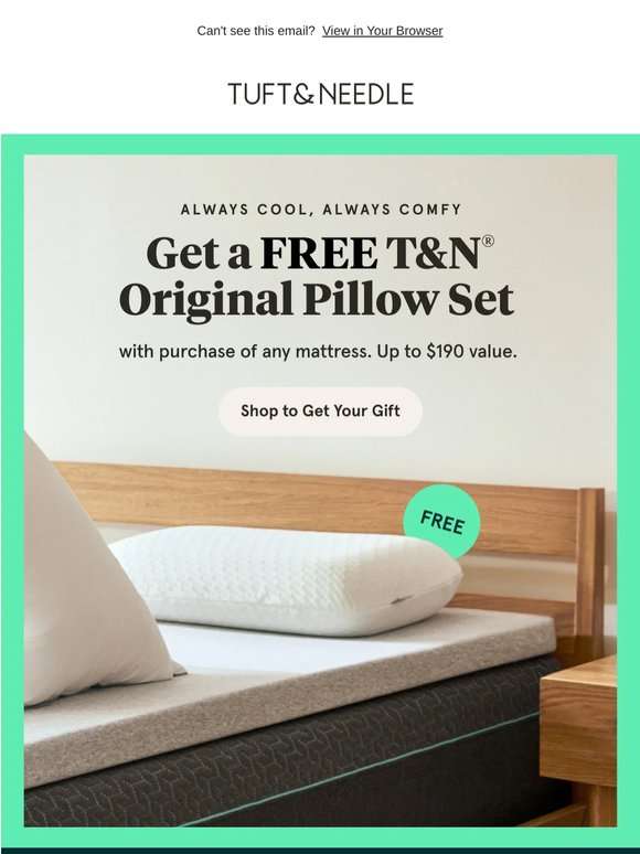 🚨 GIFT ALERT 🚨 Get a FREE T&N Original Pillow Set