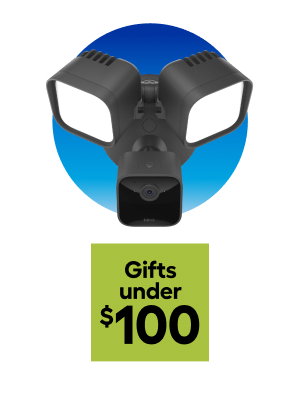 Gifts under $100
