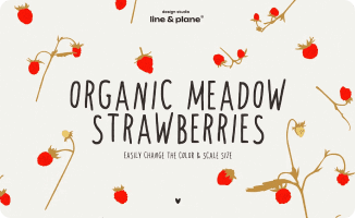 Organic Meadow