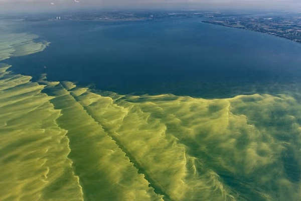 There's a deadly 'rotating' soup of forbidden toxins at Lake Erie | Gizmodo