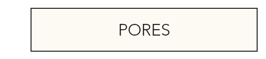 pores