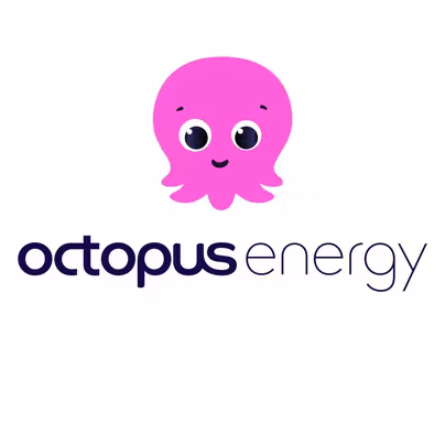 Octopus Energy power hour - Today