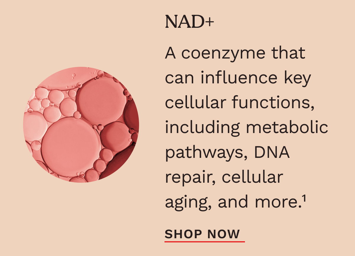 NAD+ 