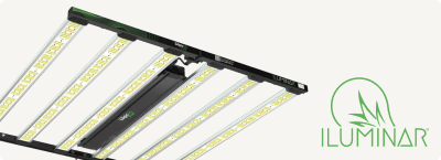 Image of the Iluminar iLogic MS Plus