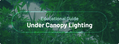 Educational Guide - Under Canopy Lighting