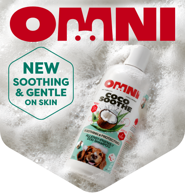 New Shampoo Launch