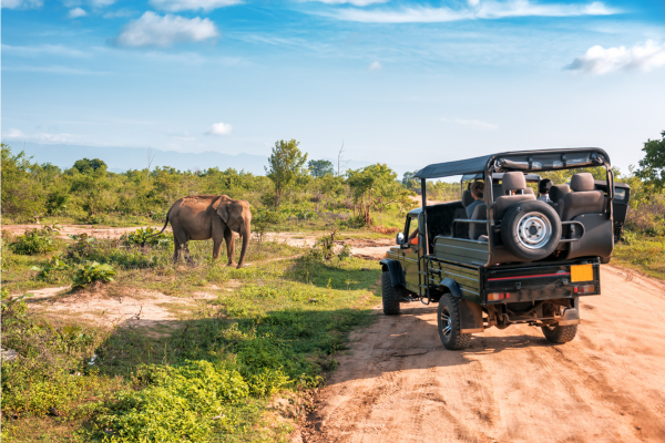 Sri Lanka. Links to tour