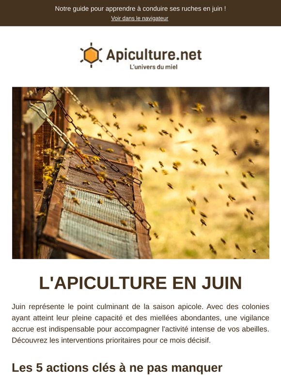 🐝 Apiculture en juin : nos 5 conseils