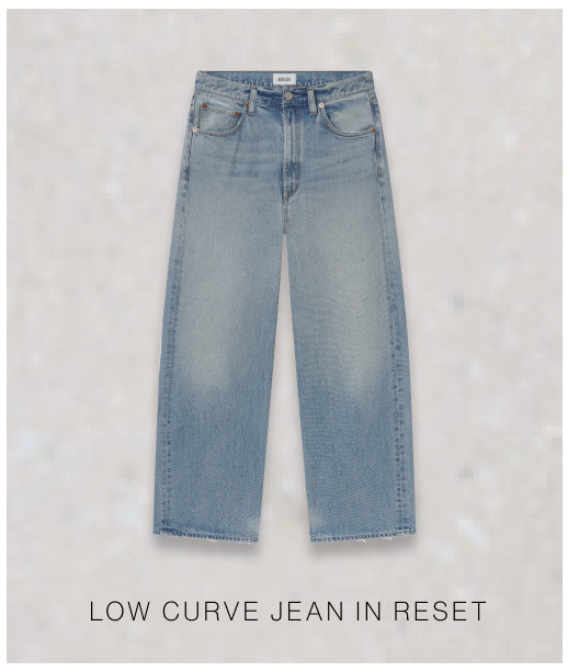 Low Curve Jean in Reset