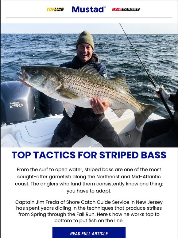 They're Biting Right Now. Are You Using the Right Setup?