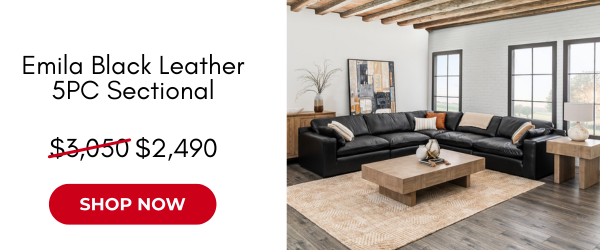 shop-emila-sectional
