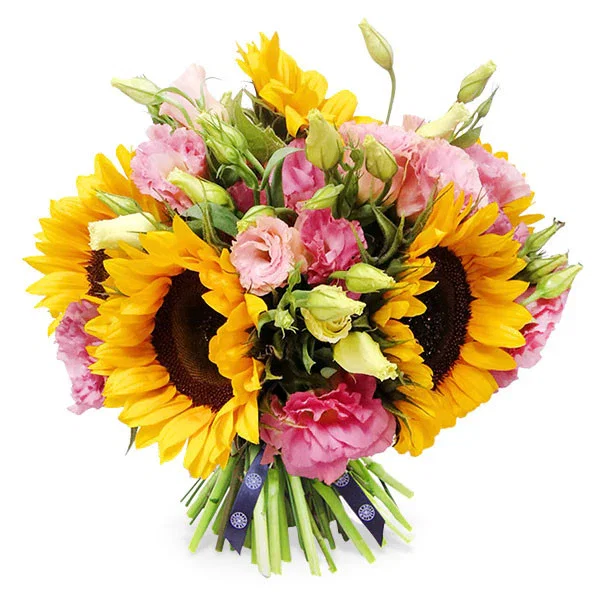 Image of Sunflower Sunset