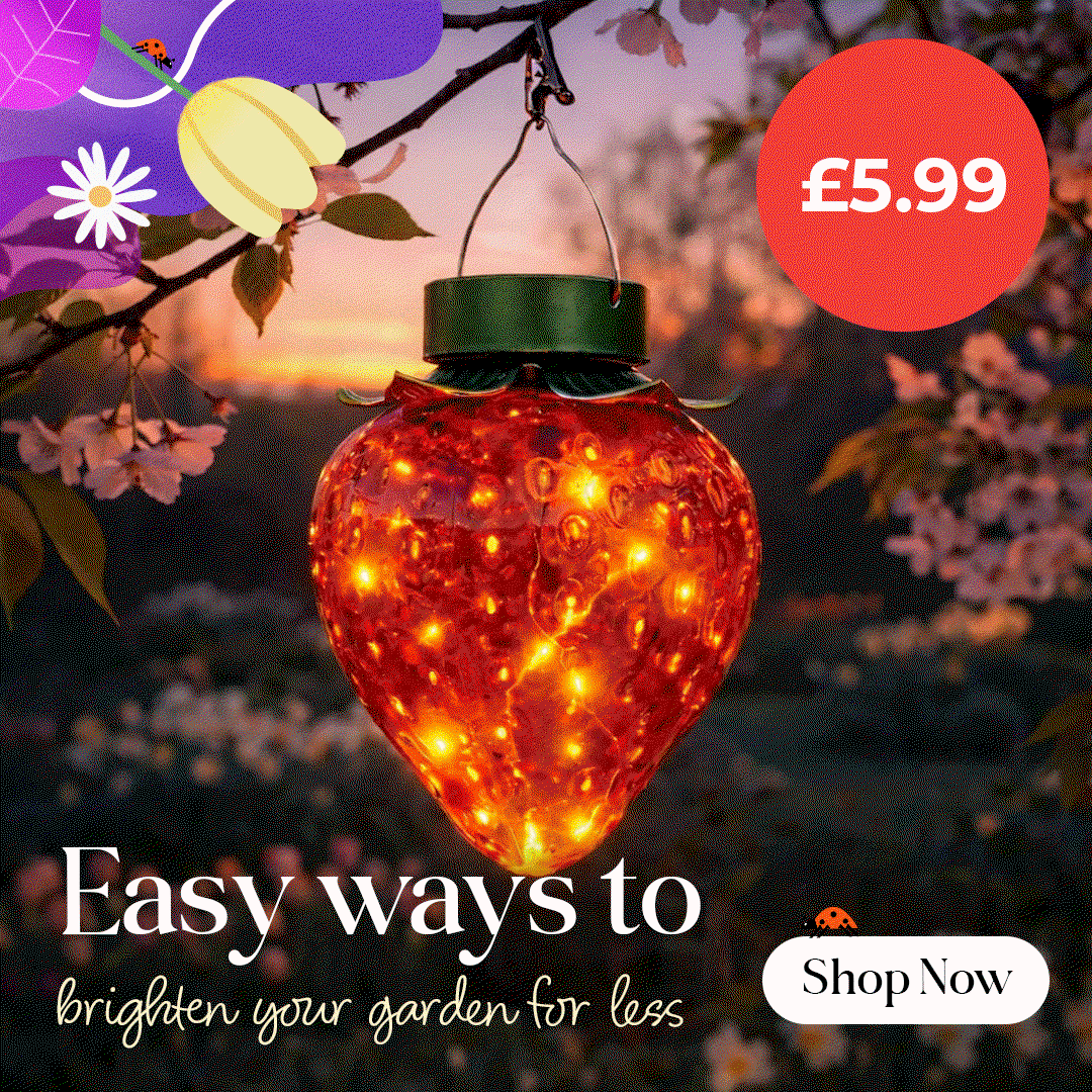 Shop Solar Lights