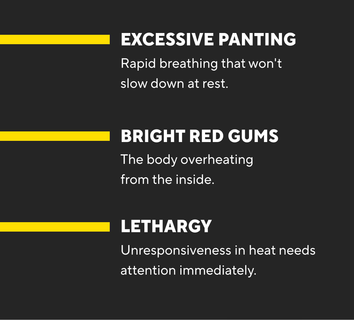 Excessive Panting | Bright Red Gums | Lethargy