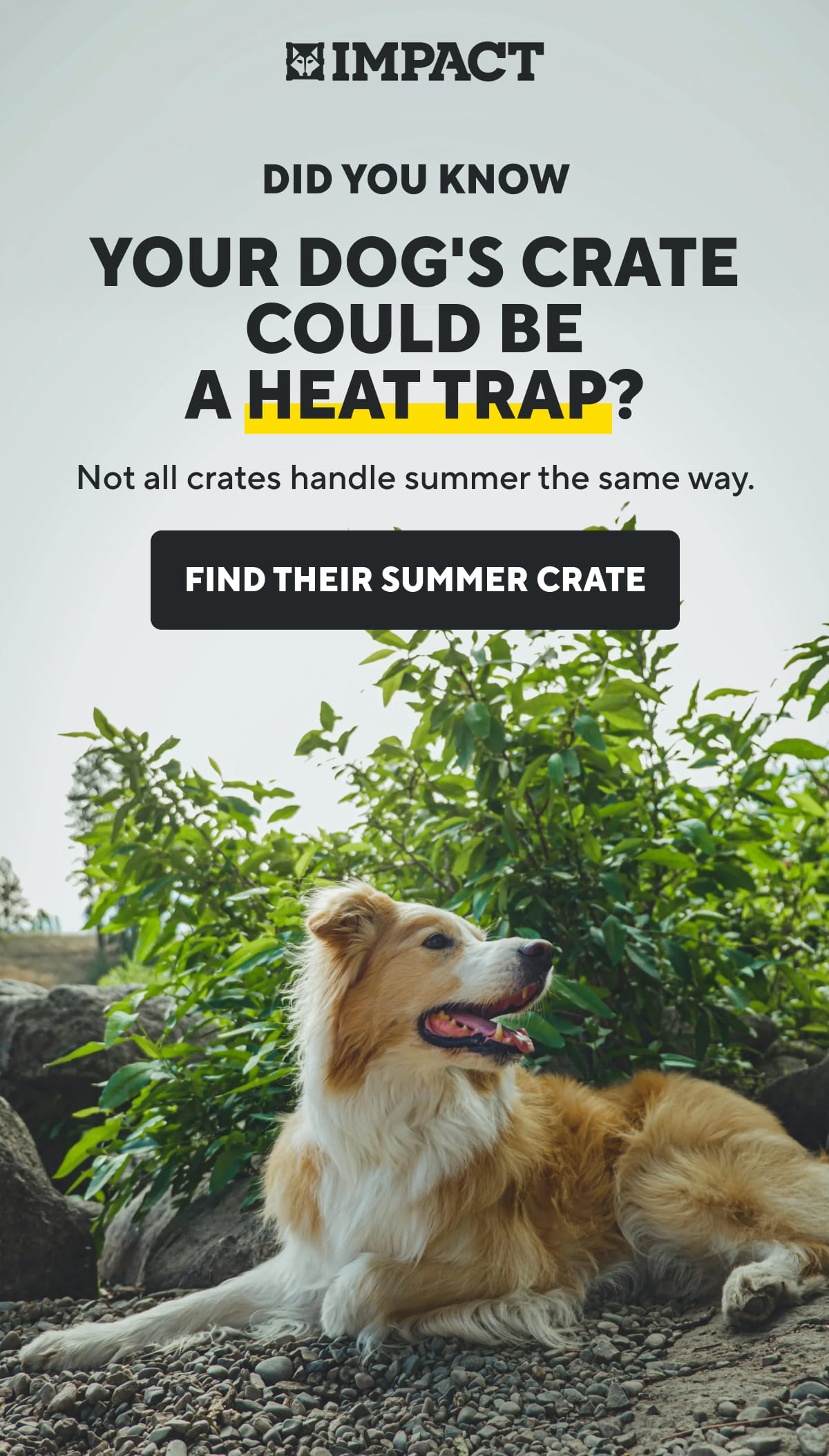 Your Dog's Crate Could Be A Heat Trap? | Find Their Summer Crate