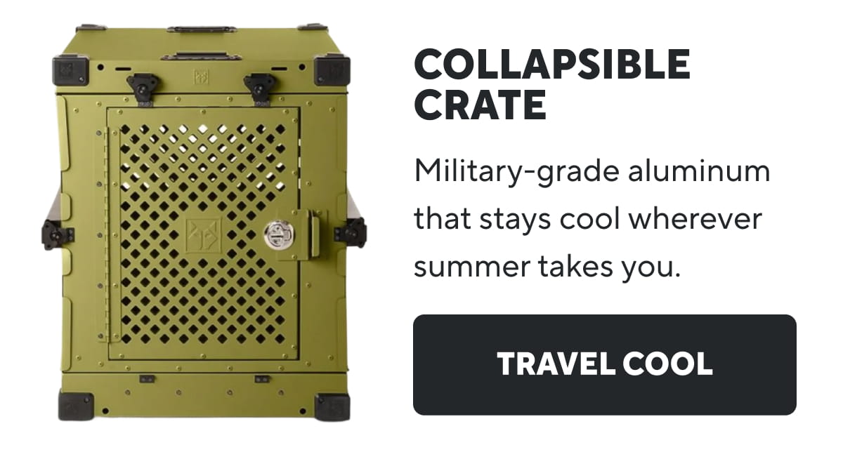 Collapsible Crate | Travel Cool