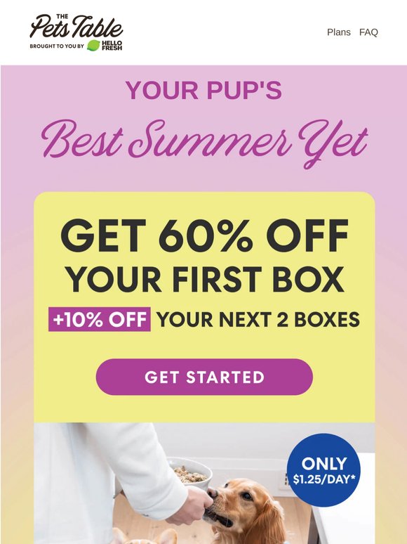 60% OFF for your pup’s best summer yet
