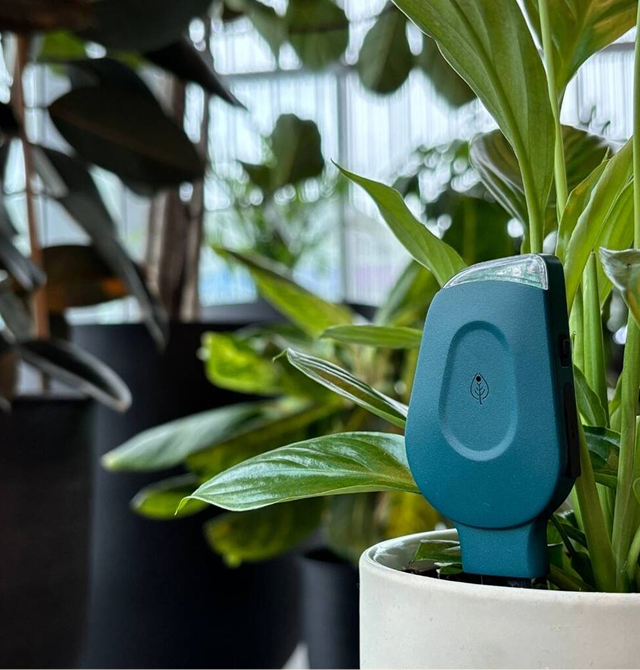 Smartyplants Single Monitor For Healthy Plants Perfect For Plant Lovers