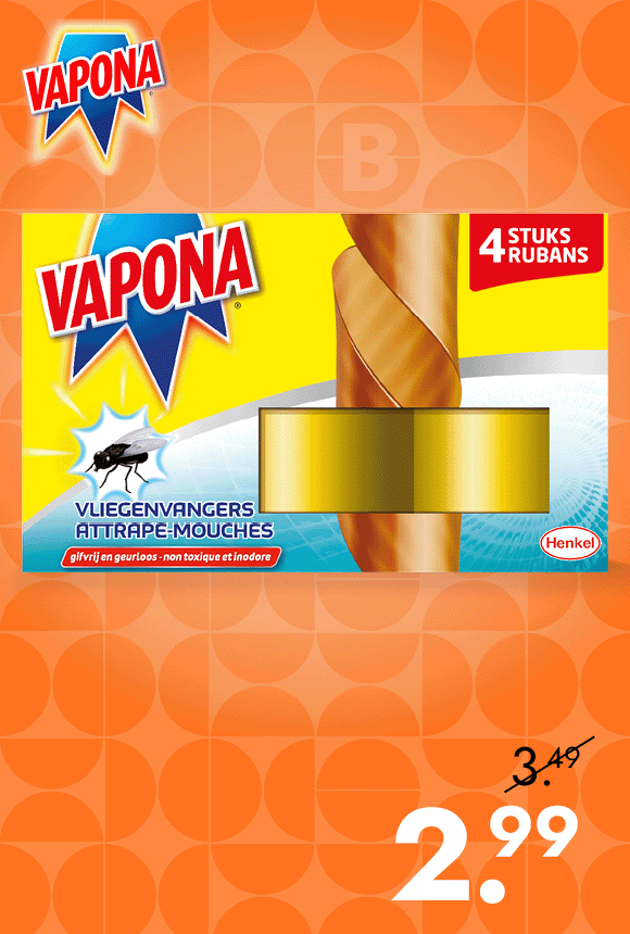Vliegenvanger voor 2.99