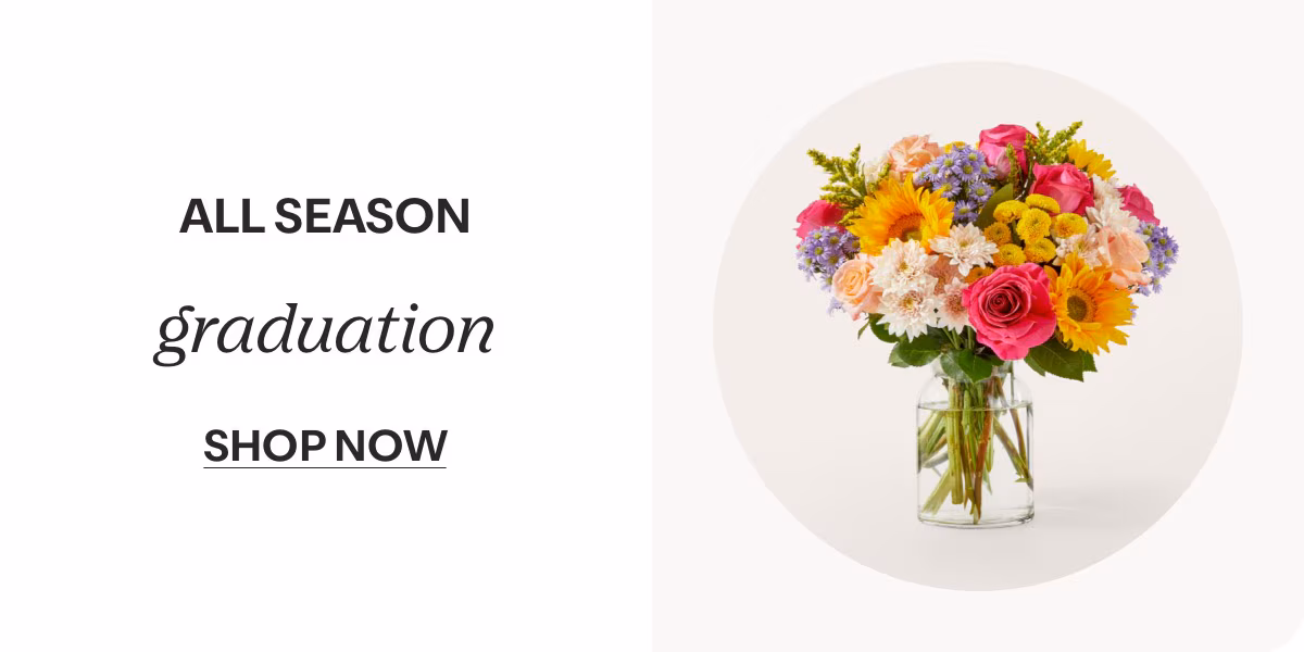 ALL SEASON - graduation - SHOP NOW »