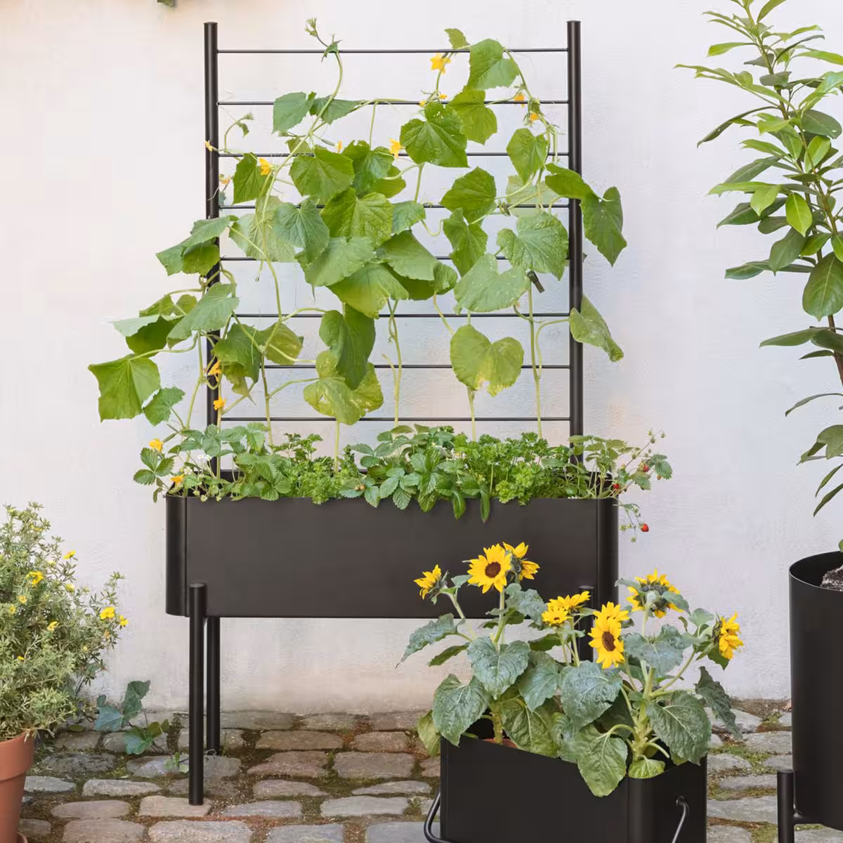 Eva solo Simply Grow Espalier til plantekasse