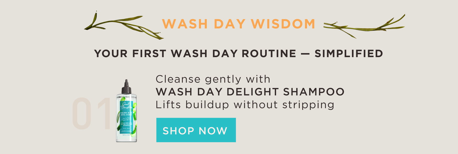 Wash Day Delight Sulfate Free Shampoo For Curly Hair