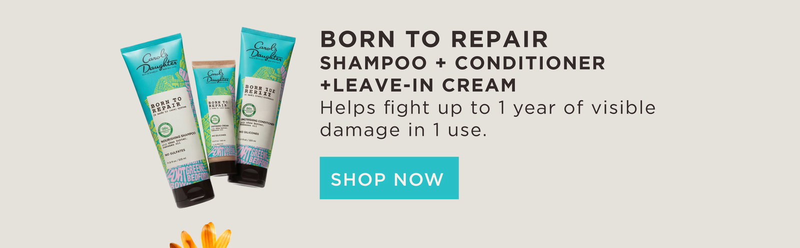 Born to Repair Shampoo, Conditioner and Leave-in Cream Bundle
