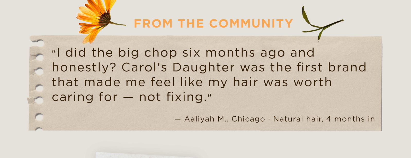 From the Community: 