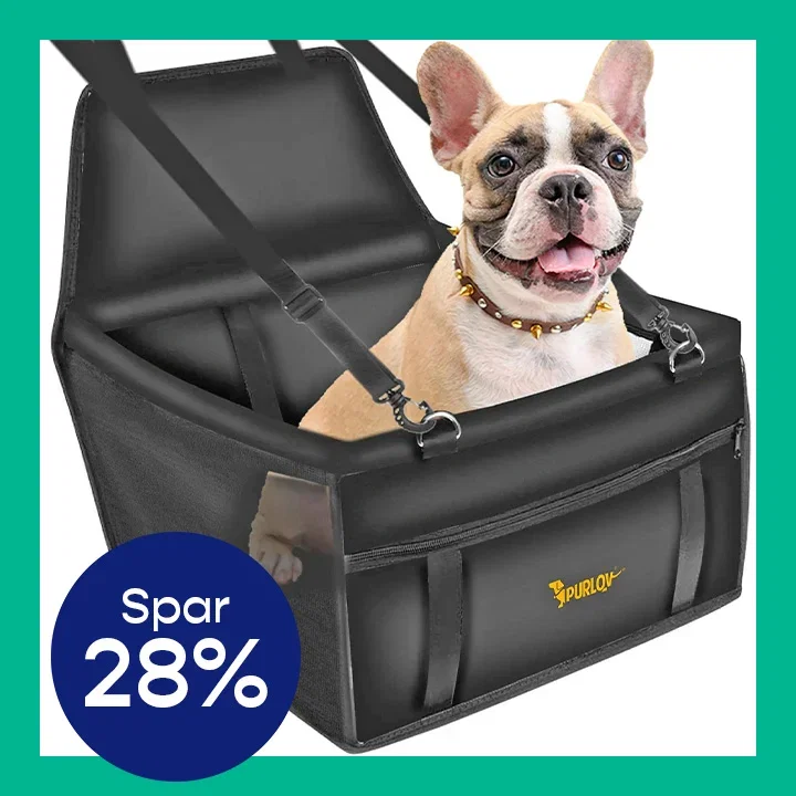 Bilstol med sikkerhetssele for hund
