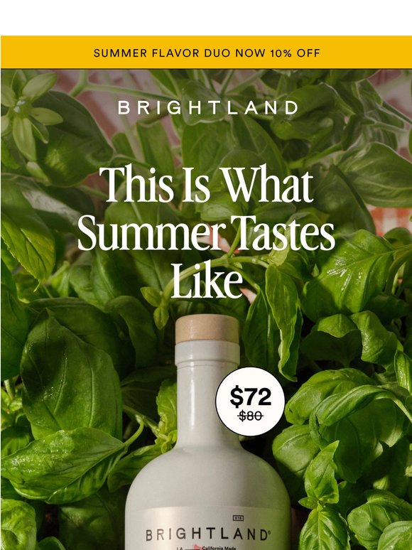 Summer Duo Arrived and…