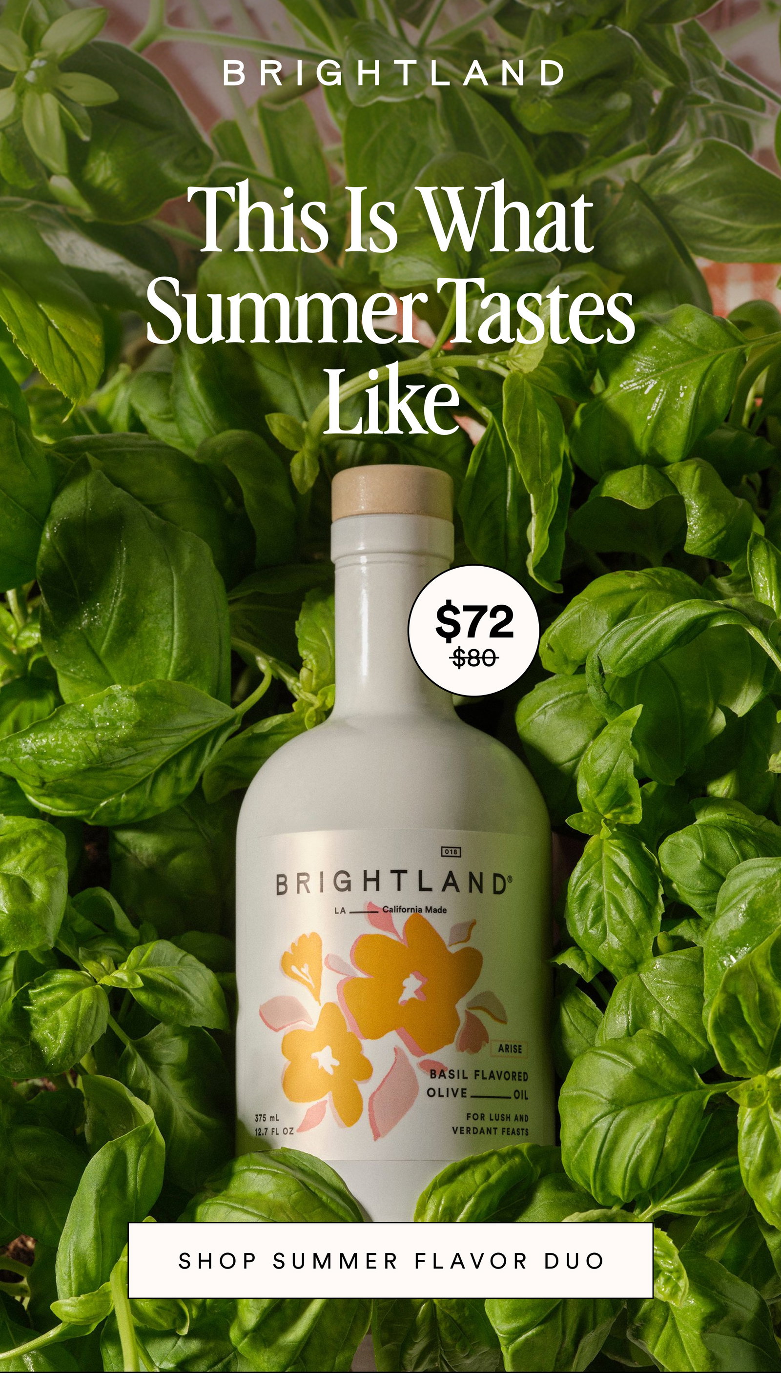 This is What Summer Tastes Like