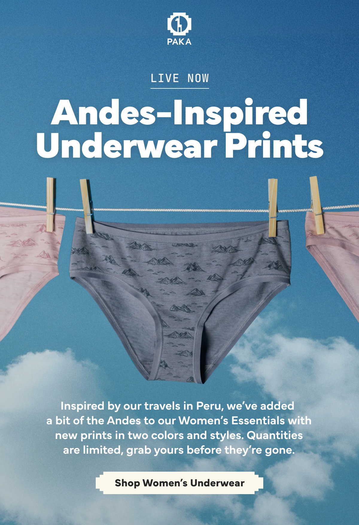 Andes-Inspired Underwear Prints