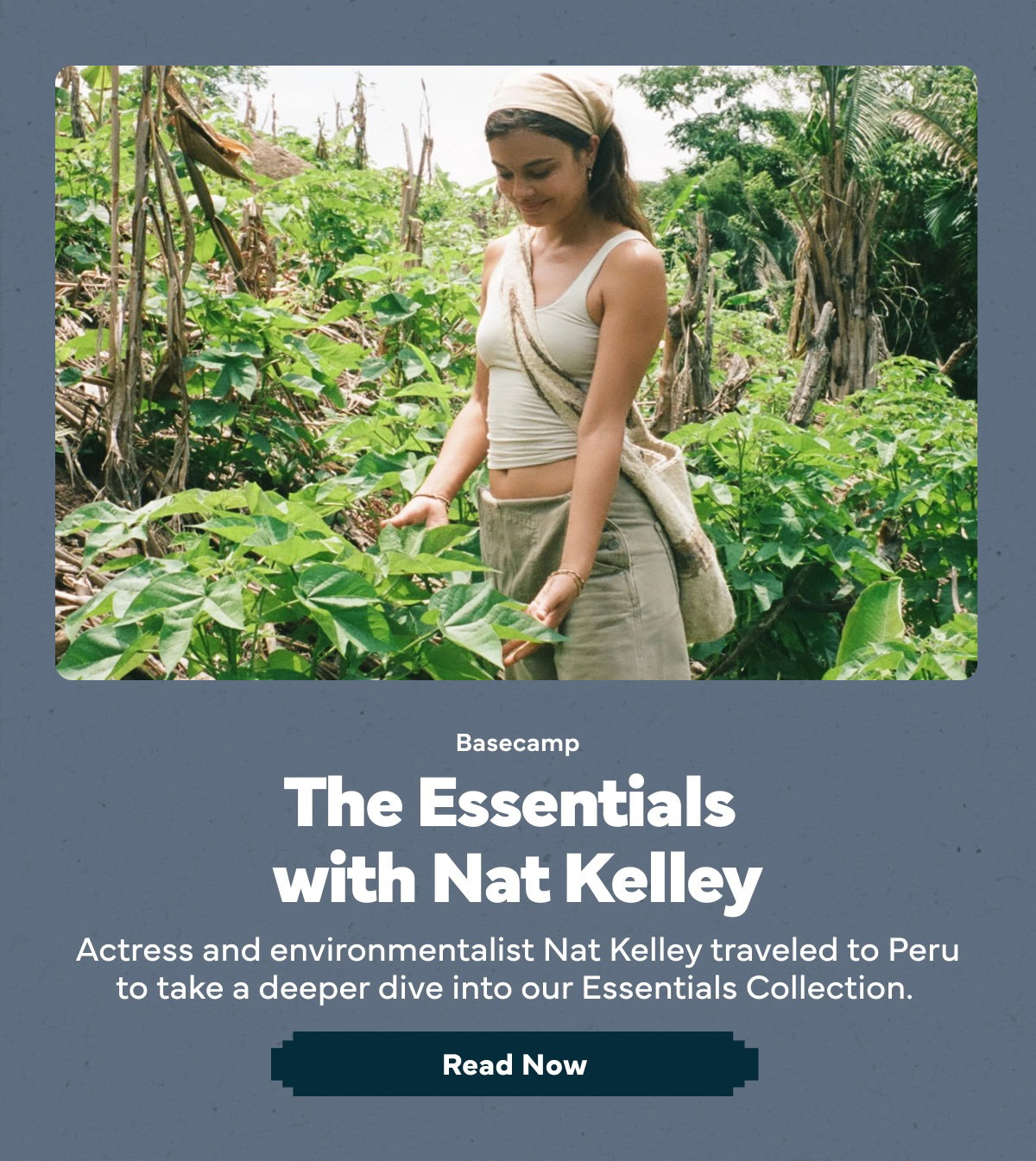 The Essentials with Nat Kelley