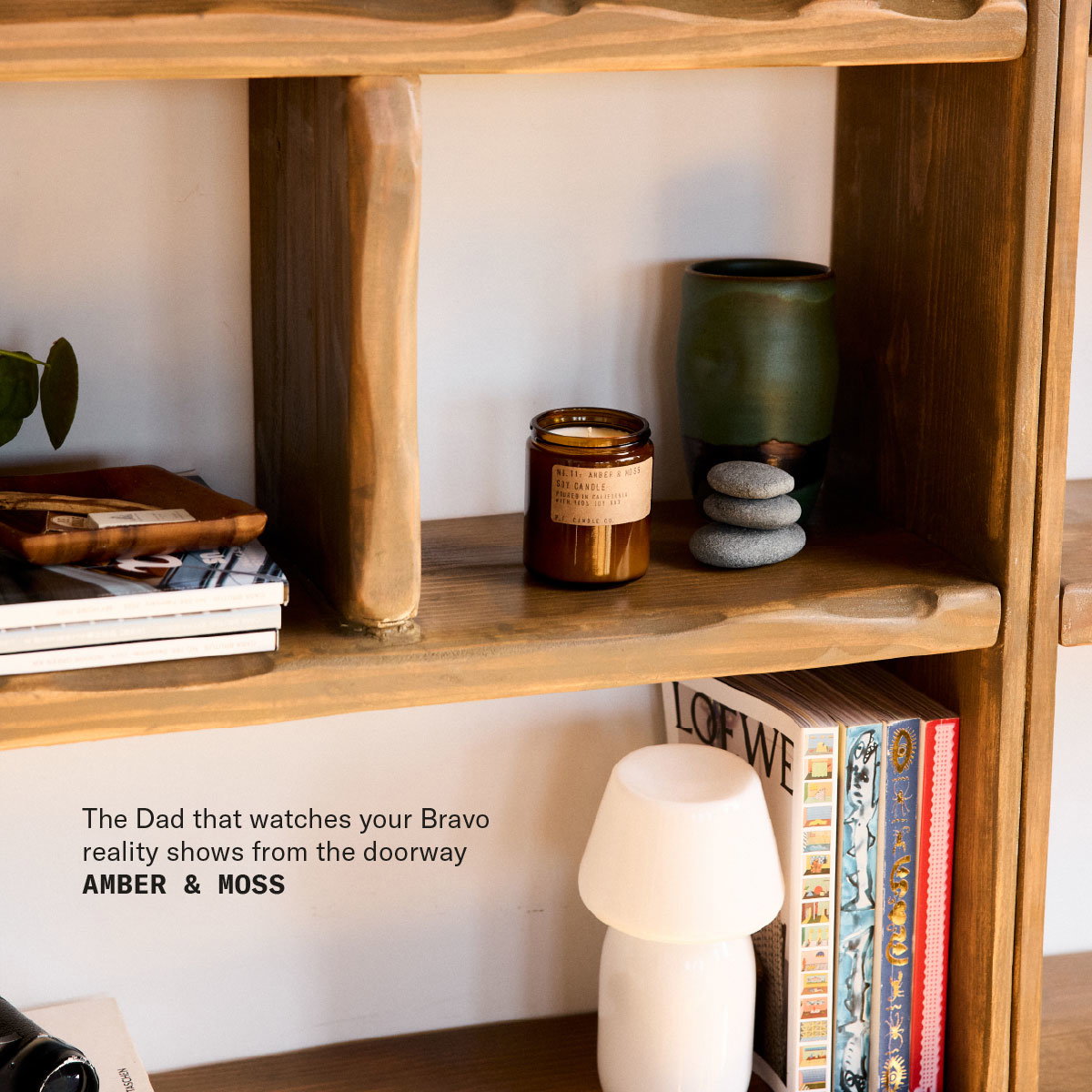 The Dad that watches your Bravo reality shows from the doorway Amber & Moss [candle on shelf with various items]