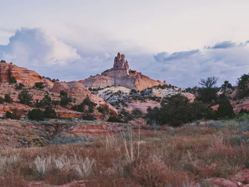 New Mexico Desert Glow
