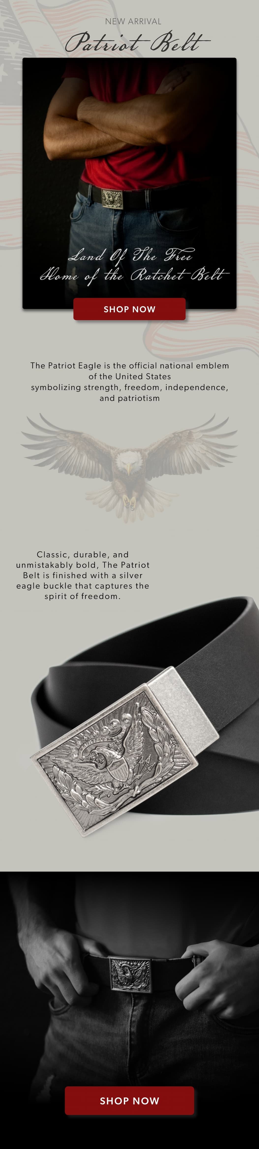 Grey Canvas Belt and Silver Buckle