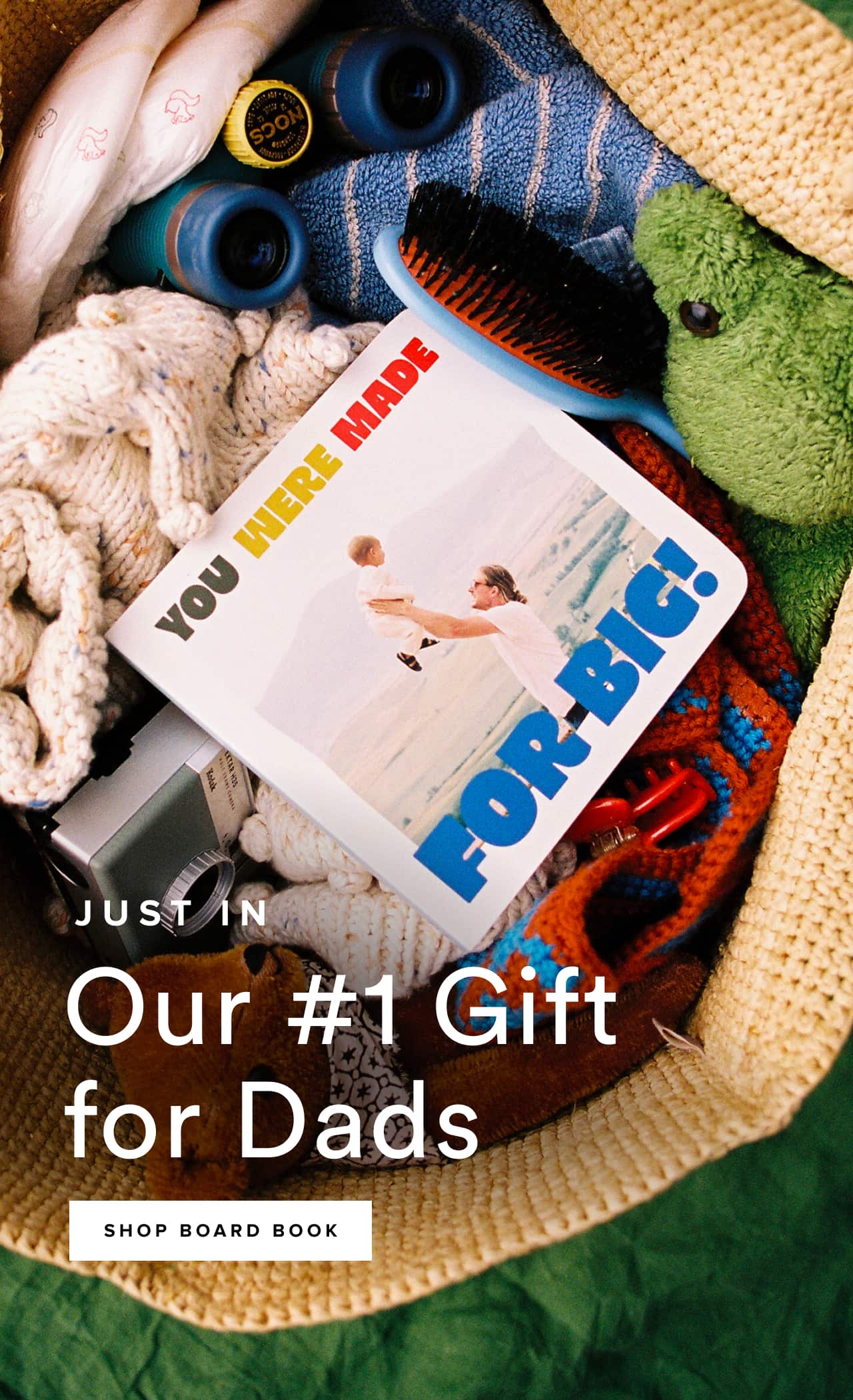 Our #1 Gift for Dads