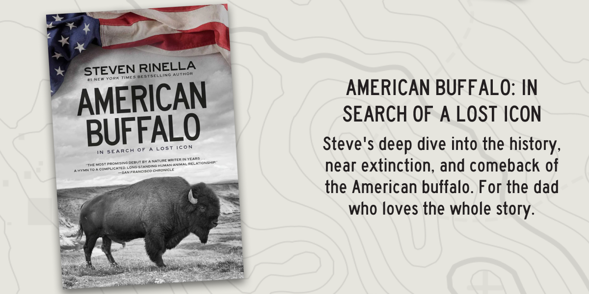 American Buffalo: In search of a lost icon