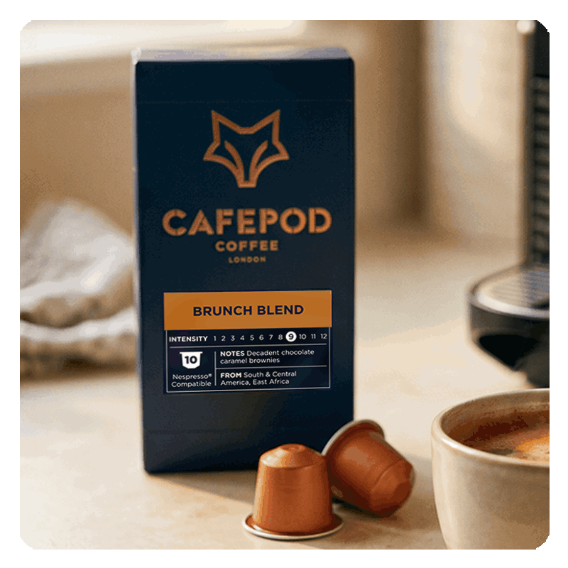 Brunch Blend 10 Pod Pack