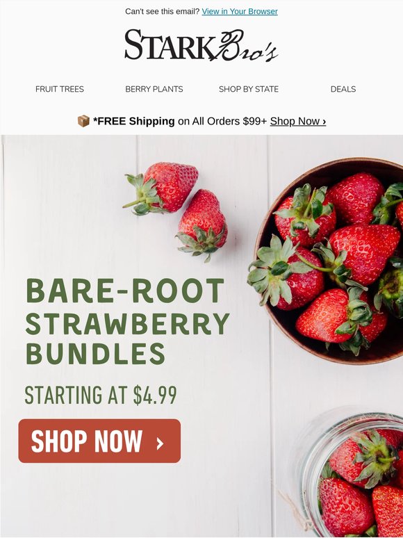🍓🌱 25 Strawberry Plants for $4.99