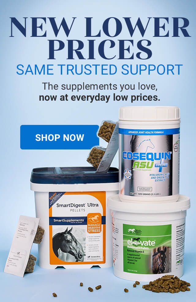 New lower Prices