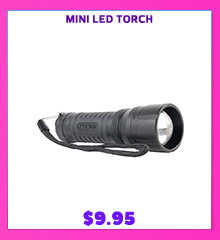 Mini LED Torch