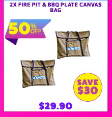 2x Fire Pit & BBQ Plate Canvas Bag